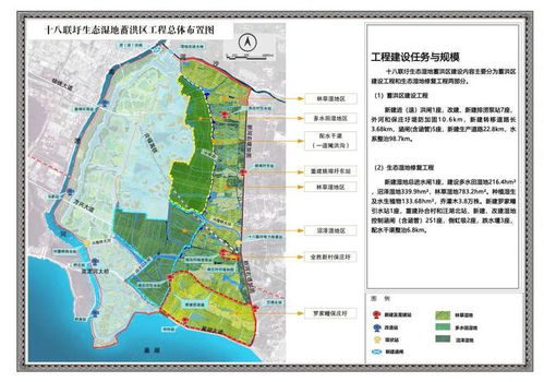 重點(diǎn)水利工程建設(shè)巡禮 ③ 安徽省巢湖流域水生態(tài)修復(fù)與治理工程 十八聯(lián)圩生態(tài)濕地蓄洪區(qū)工程